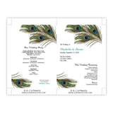 Peacock Feathers Wedding Program Fan Template