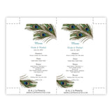 Peacock Feathers Menu Card Template