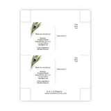 Peacock Feather Bridal Shower Invitation Postcard