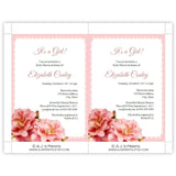 Roses Baby Girl Shower Invitation