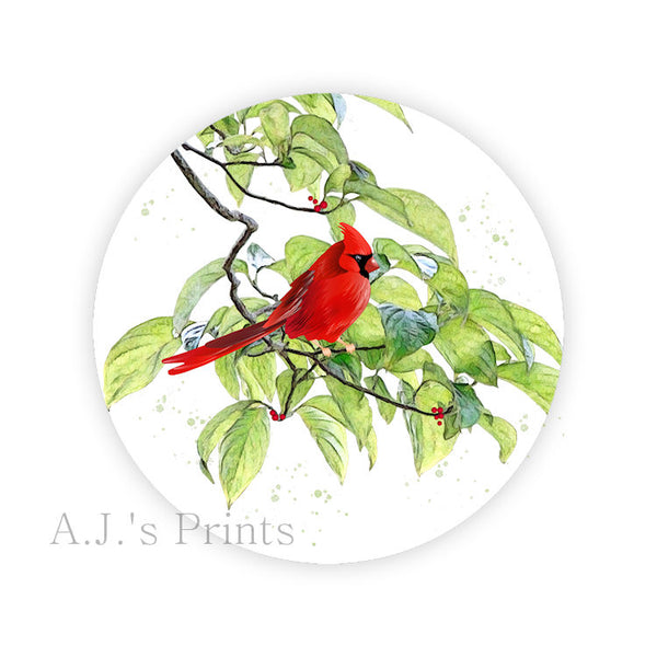 Red Cardinal Bird Round Stickers
