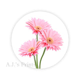 Pink Daisies Round Stickers